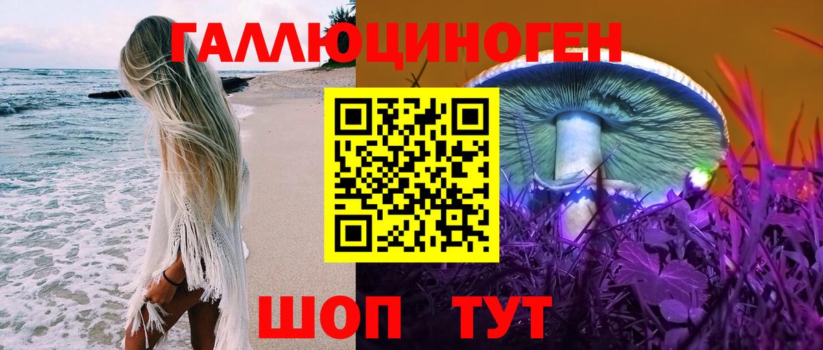 где купить наркоту  Галлюциногенные грибы мицелий  Вход с VPN  Дербент 